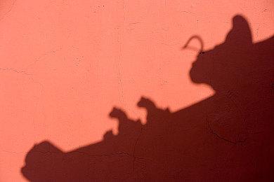 《星露谷物语》作者喜欢《小丑牌》 近期沉迷其中